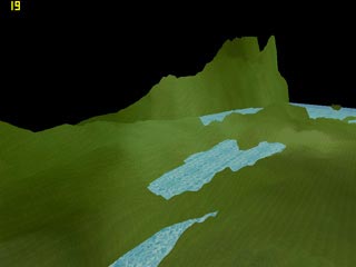 Jungle 1