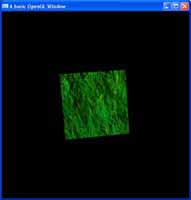 OpenGL Texturing Tutorial Preview
