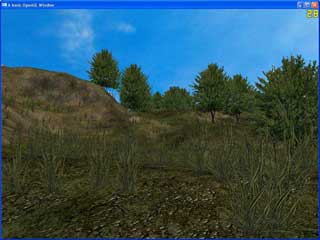 Clearing 2
