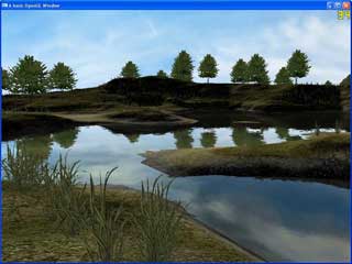 Pond